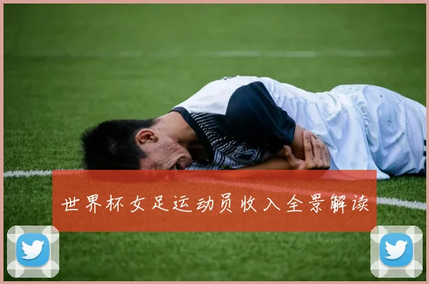 世界杯女足运动员收入全景解读